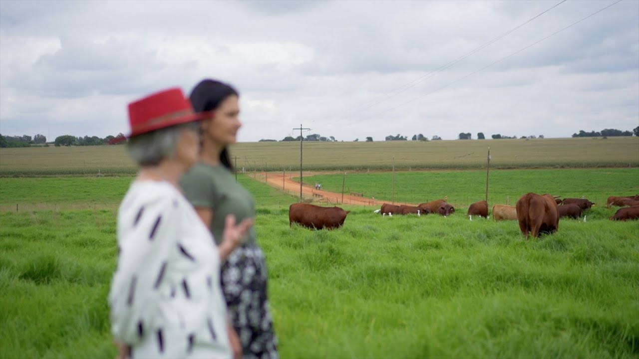 Chalmar Beef – 50 Years of Passion and Dedication
