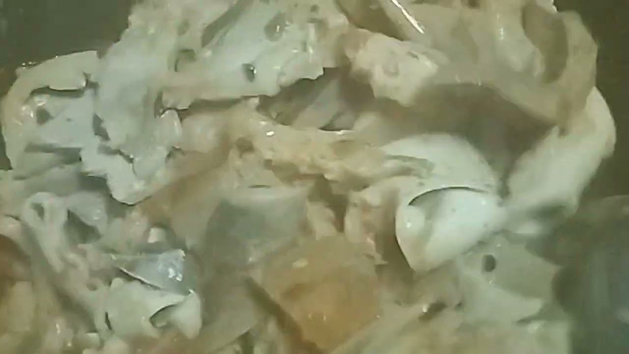 ဝက်ကလီစာဟင်း ချက်စားကြမယ်ရှင့် l Myanmar Food l Home Cooking 