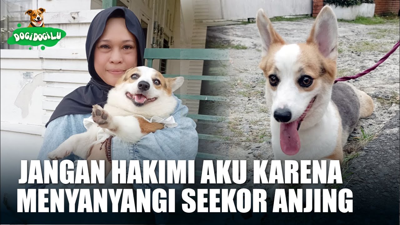 JOY, ANJING INI JADI KEAJAIBAN DALAM HIDUPKU, AJARKAN CINTA SESUNGGUHNYA