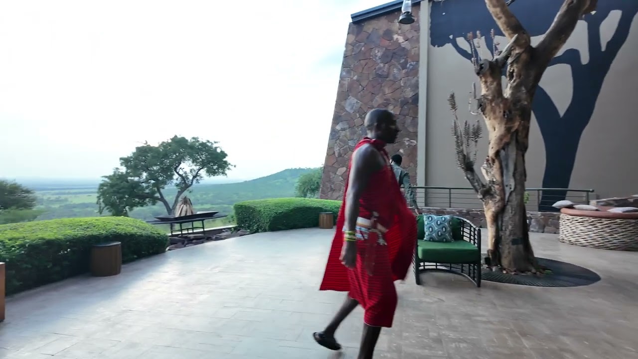 Melia Serengeti lodge Tanzania safari 2025 January メリア セレンゲティ タンザニア サファリ 2025年1月