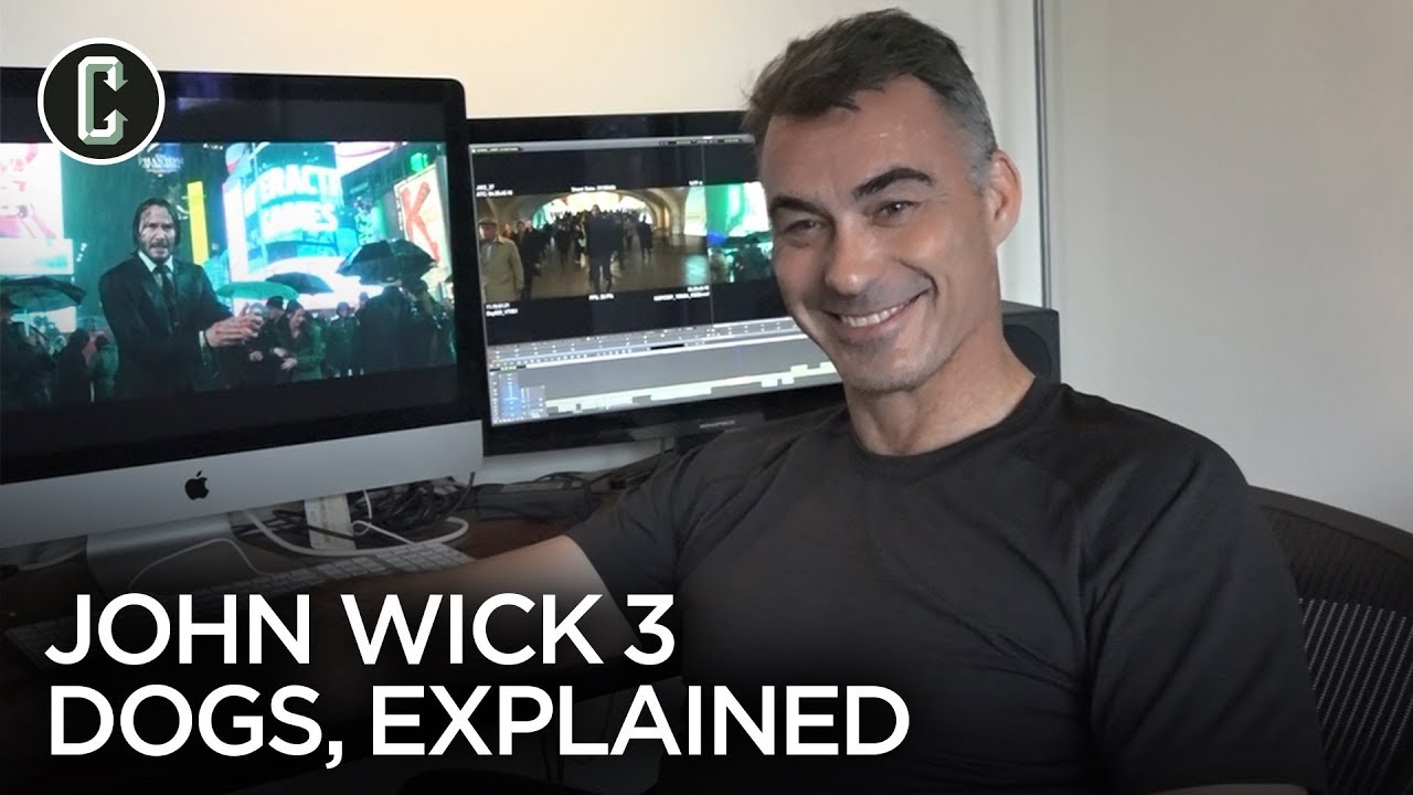 John Wick 3 Dogs, Explained