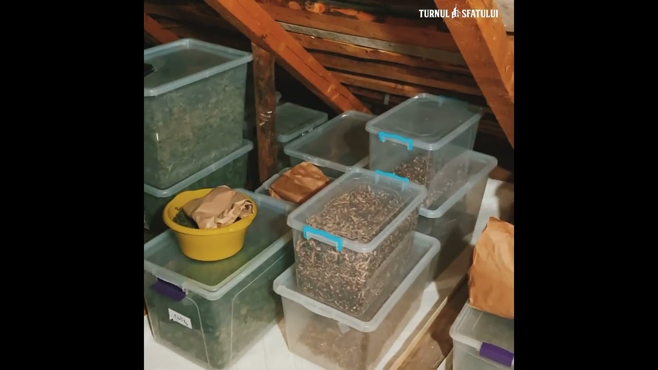 Colt de rai la Mânăstirea Măgura din Jina