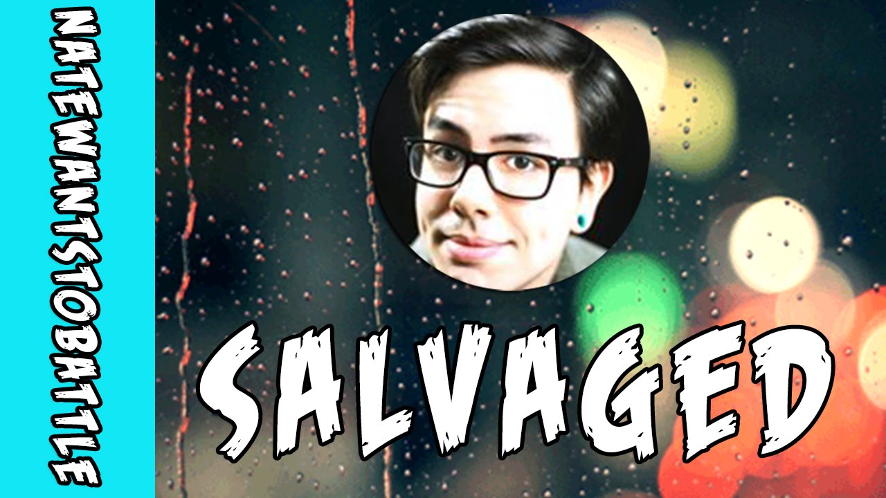 Salvaged - NateWantsToBattle【Music Box Cover Remix】