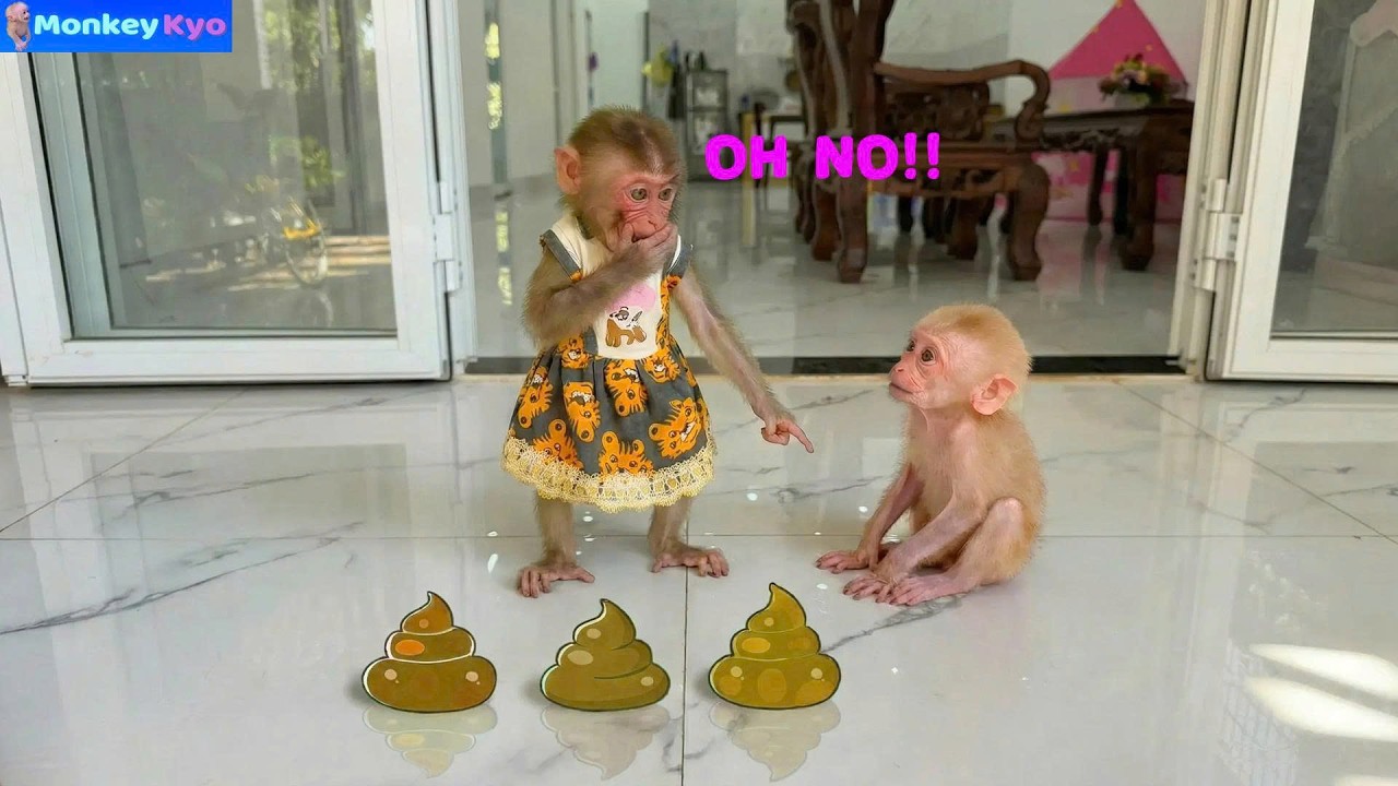 Baby Monkey BuNa Made a Huge Mess&hellip;  What Did Kyo Do?!