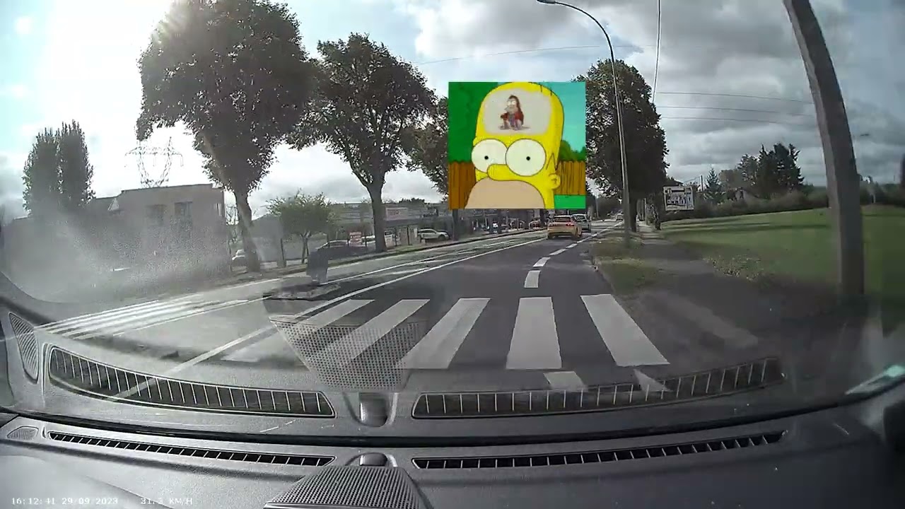 Daily Obs 42 - Les circuits sont ouverts à tous, la rue se partage avec les autres