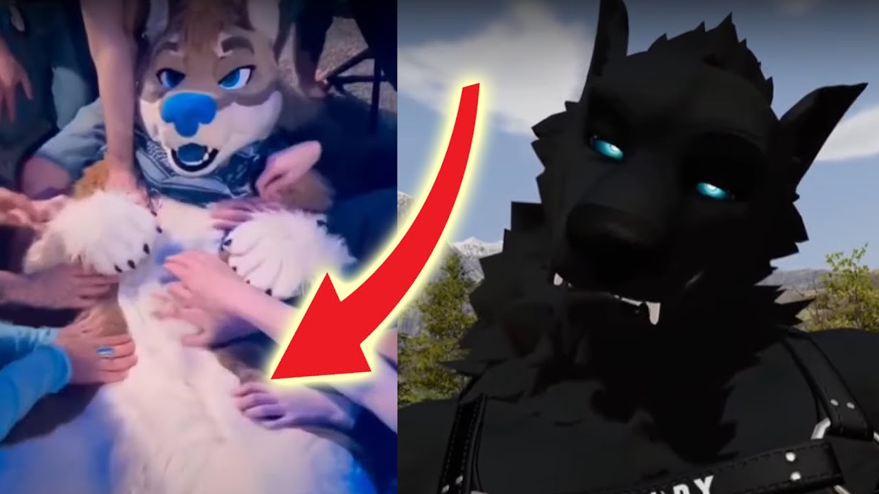 Furry Tiktoks that'll give you tummy rubs