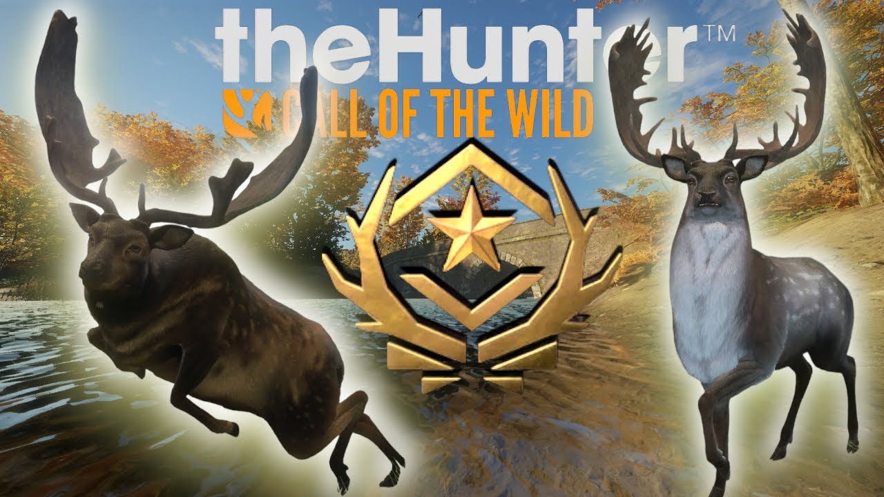 FALLOW! PART 2| The Hunter Call of the Wild