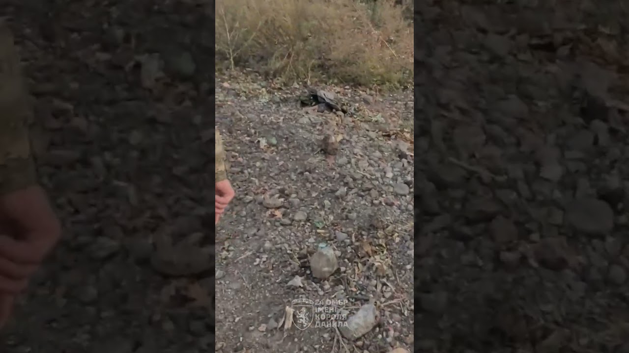 ⚡️ЧАСІВ ЯР. Spartan 24 бригади застряг на колодах — машина повністю лягла «на пузо»