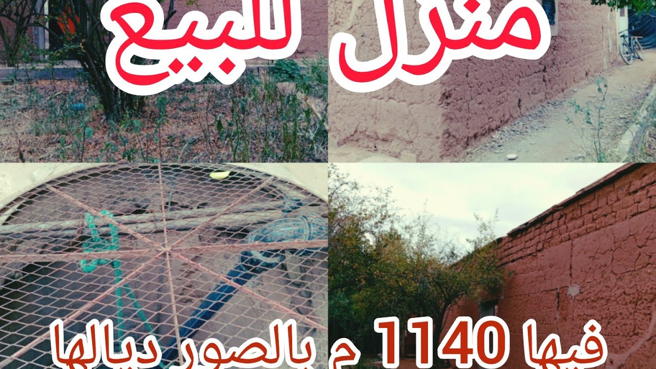 ,#المغرب #فرنسا فيرما صغيره للبيع طريق اوريكة 1000 م ملكية التمن زوين بزاف همزة موقع زوين 0623535610