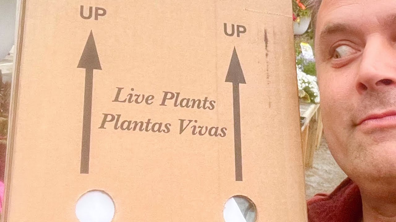 I Got Plants on the Mail from Proven Winners