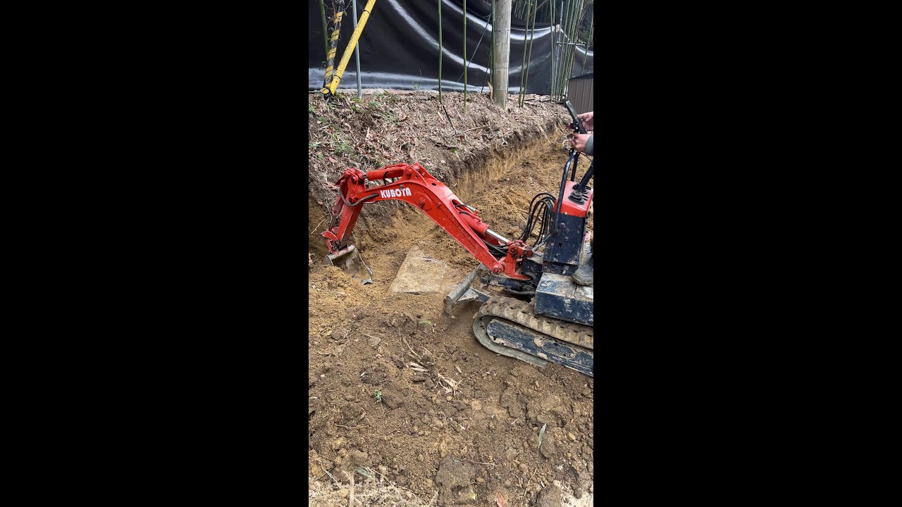 Live: Battle of the Backyard: Excavator vs Nature #111 | God of Ruin akkiro0m
