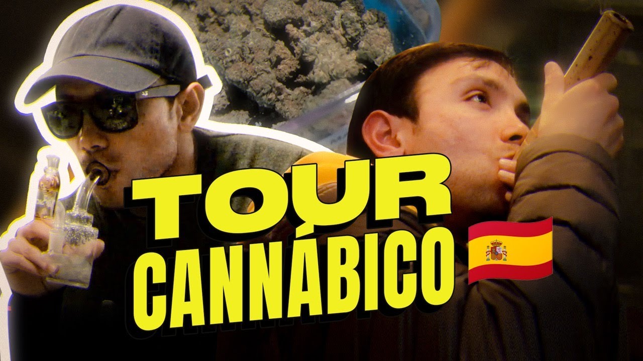 C&oacute;mo Funcionan los Clubs de Cannabis en Barcelona  🇪🇸