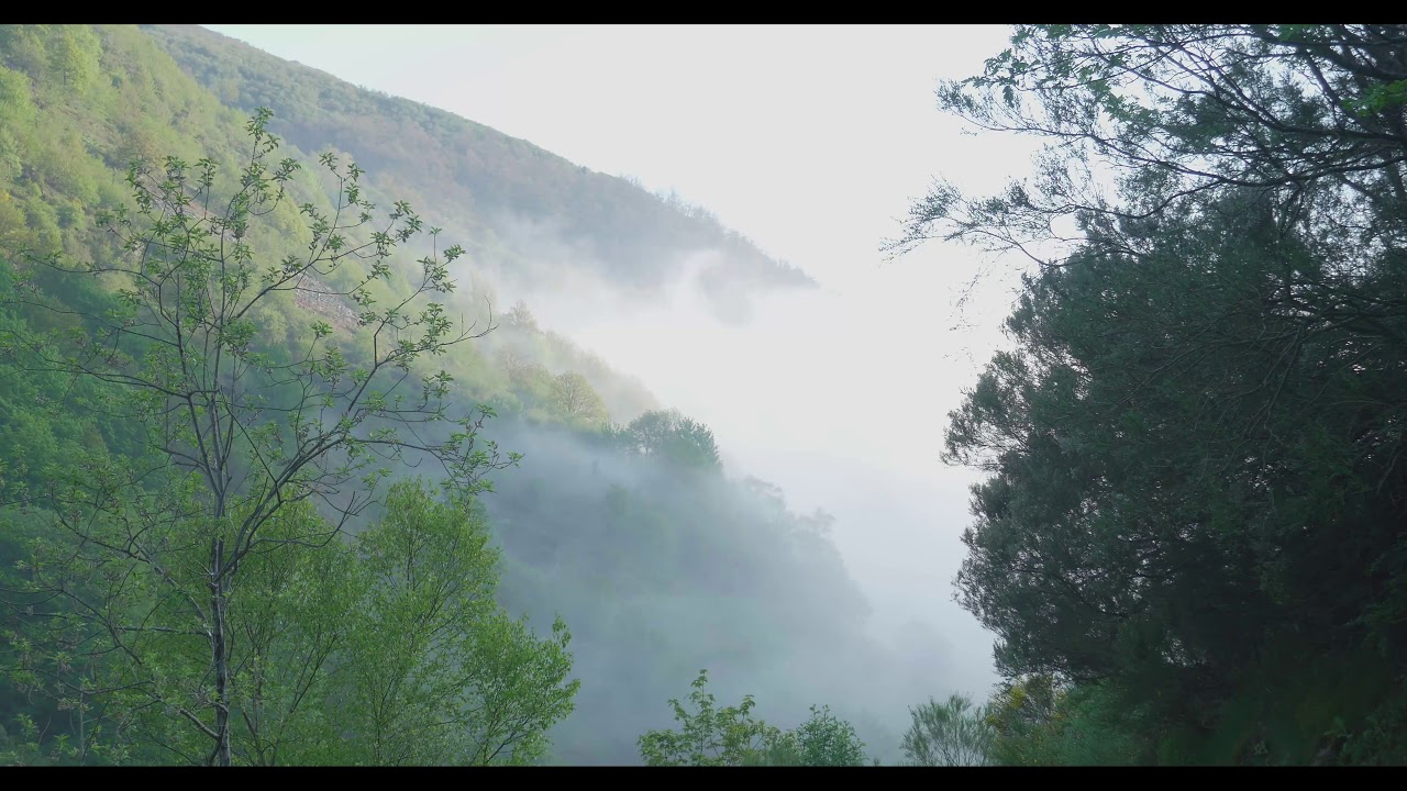 CORDILLERA CANTABRICA: Parque Natural de Fuentes del Narcea, Degaña e Ibias