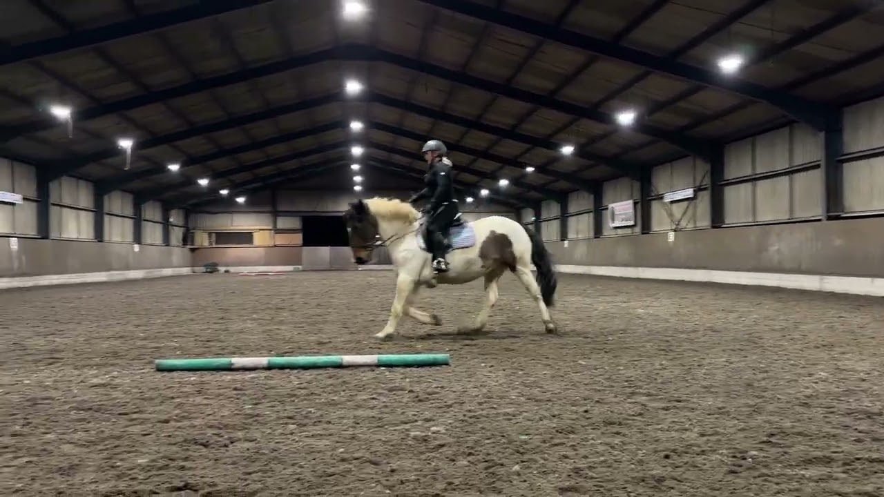 E dressage February riding school prelim entry 