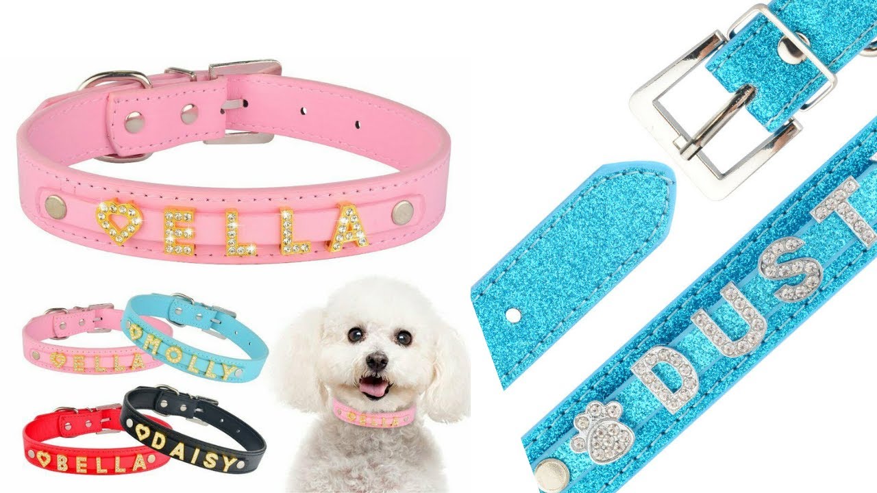 Bling Dog Collar 🐾 Personalized Custom Name Pet Charm Rhinestone