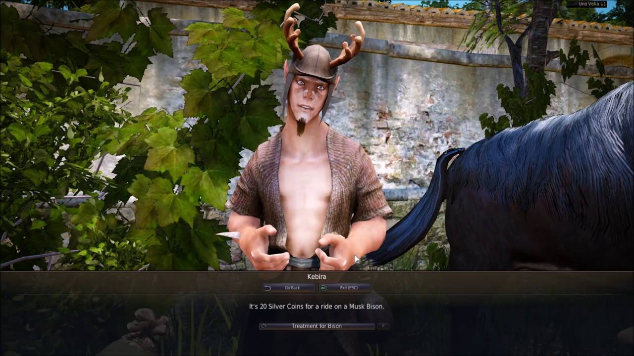 How I Got 260+ Contribution, Plus Alchemy & Gathering [Black Desert Online]