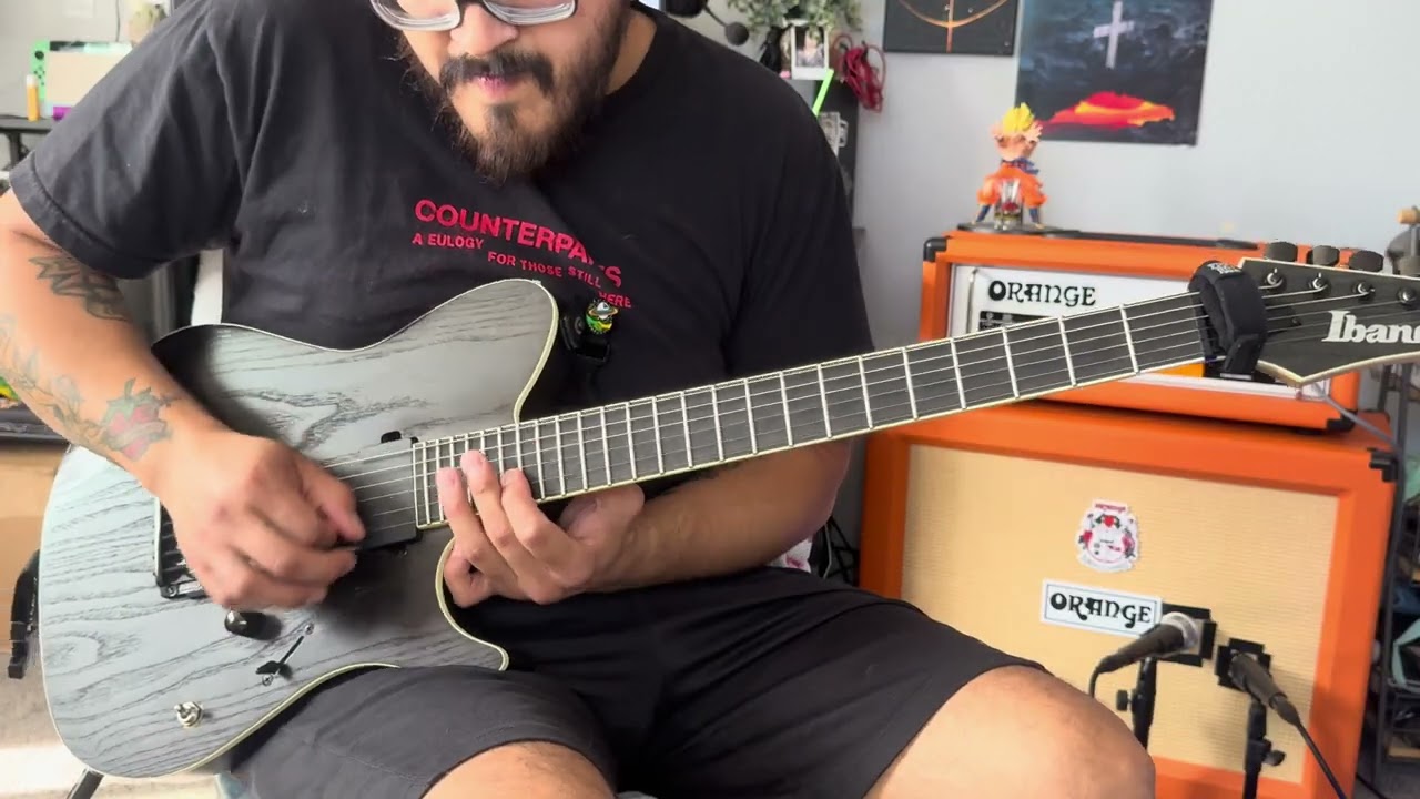 Black Serotonin-Hail The Sun(Guitar Cover)