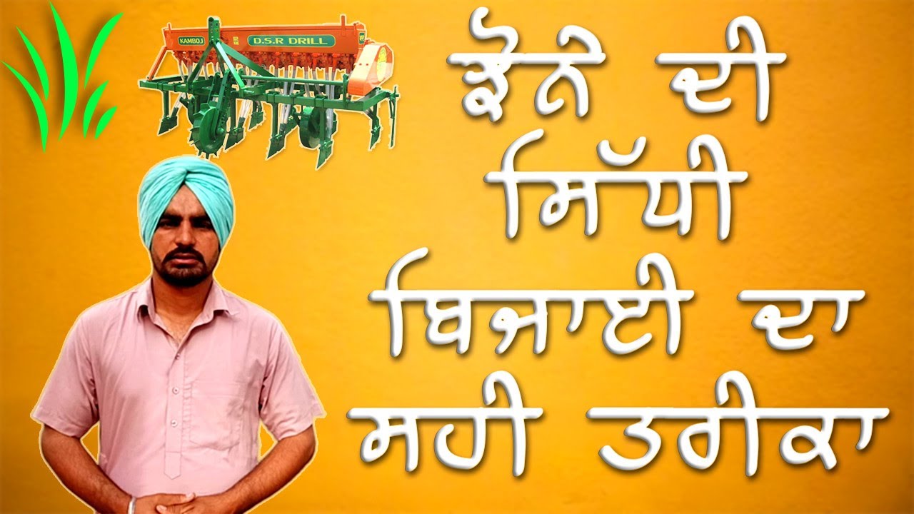 DSR ਝੋਨੇ ਦੀ ਸਿੱਧੀ ਬਿਜਾਈ ਦਾ ਸਹੀ ਤਰੀਕਾ  &brvbar; Avtar Singh &brvbar; Apna Punjab