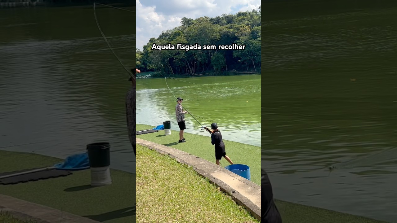 #fisgada #peixe #fishing