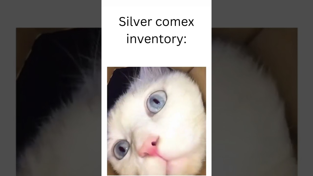 Silver Comex Inventory 🔻