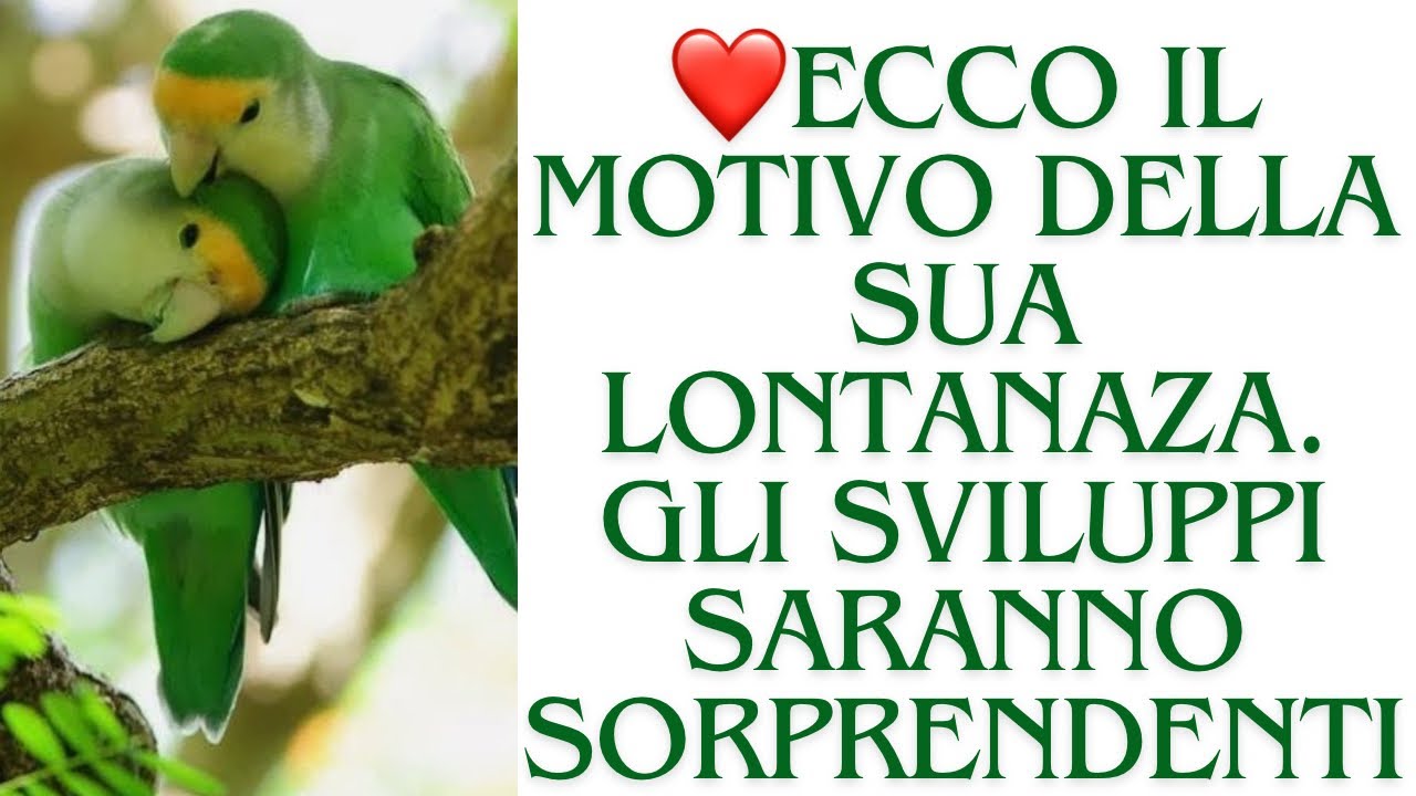 🔮ECCO IL MOTIVO DELLA SUA LONTANANZA. Gli sviluppi saranno SORPRENDENTI❗️