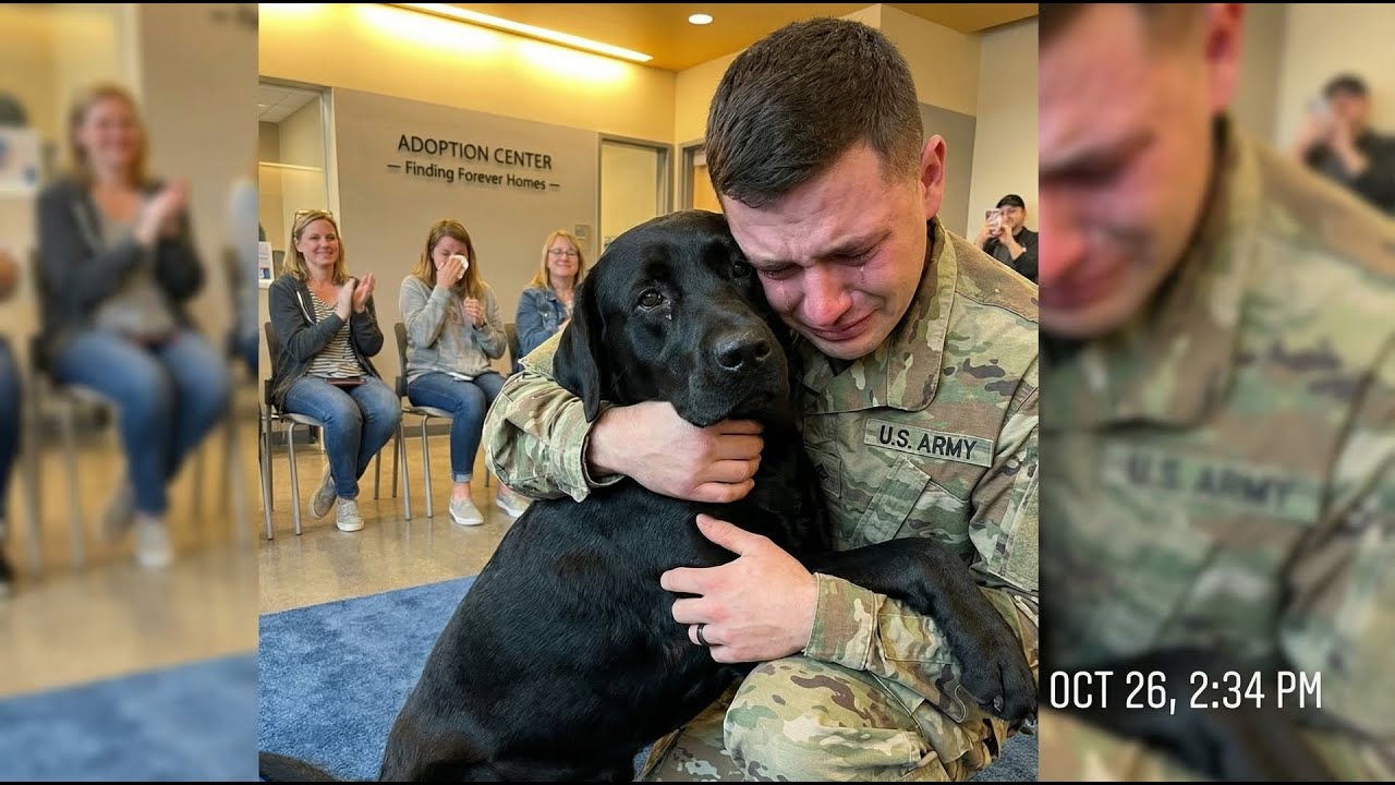 When Black Lab Chose An American Soldier While Adopting a Black Lab, He Breaks Down