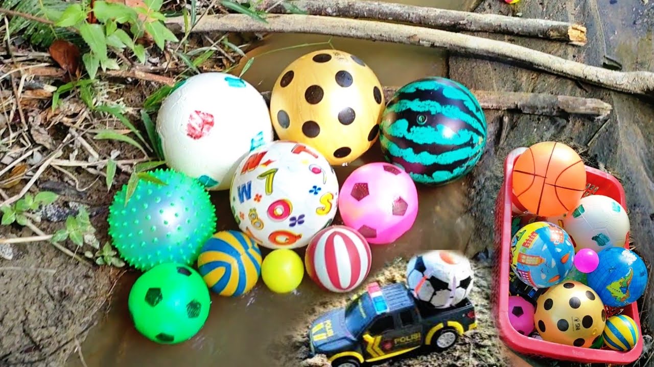 Mencari bola basket, bola sepak, bola semangka, di sawah #bolabasket #bolasemangka #bolakecil