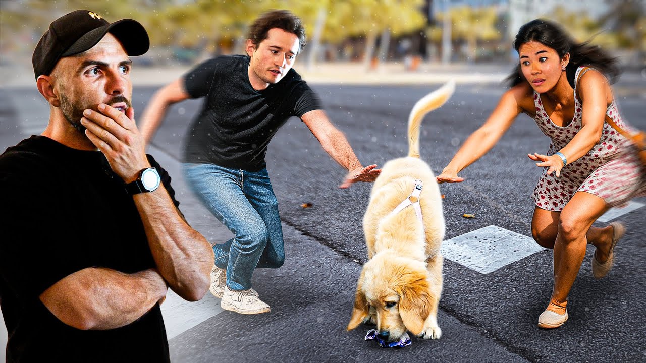 Ils ont reçu les pires conseils pour leur chiot ! 😭 Golden Retriever - Un Café et C’est Réglé Ep 15