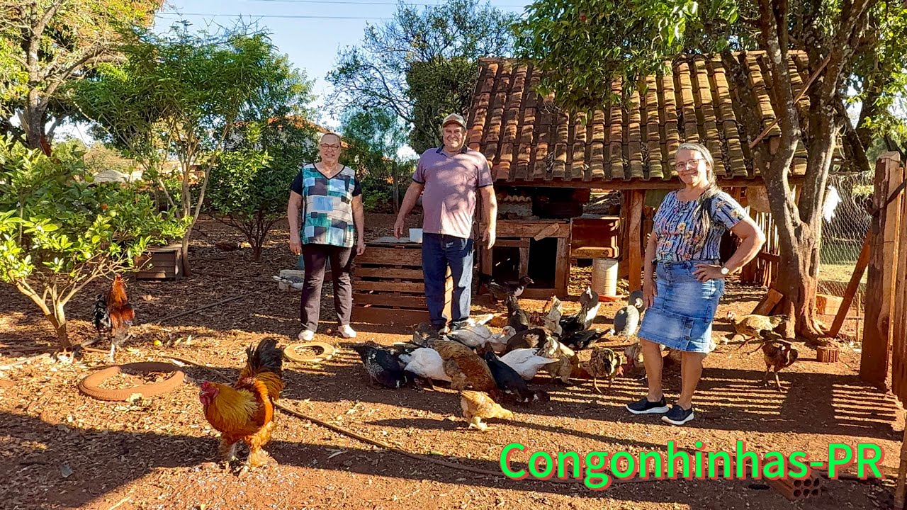 &ldquo;PEDR&Atilde;O MENTIROSO&rdquo;, CONTANDO SEUS CAUSOS&hellip; S&Oacute; ALEGRIA 