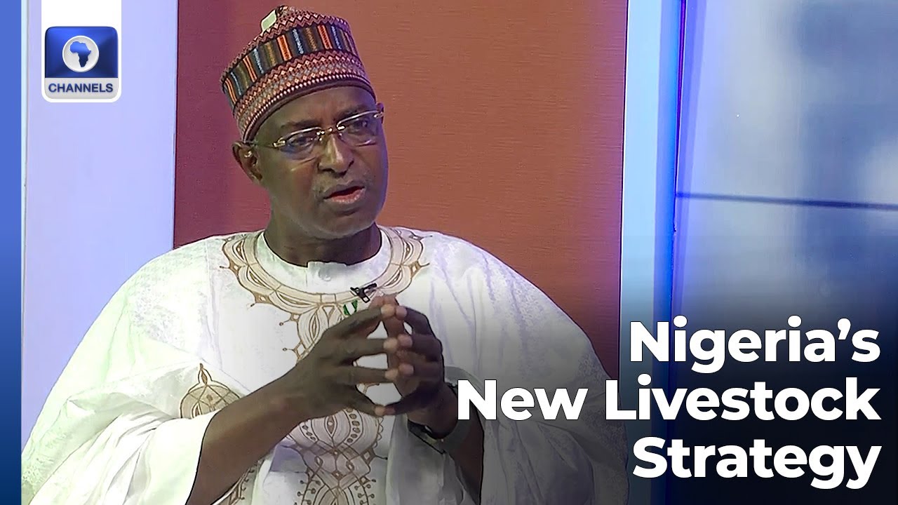How Nigeria Plans To End Farmer-Herder Conflicts - Minister | Hard Copy