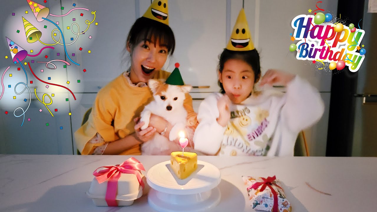 생일 축하합니다!! 서은이집 강아지 보름이의 생일파티 Pet Birthday Party