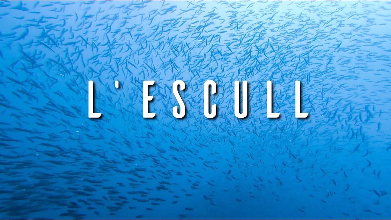 CCTGluGlu | L'Escull, Portitxol - Xàbia
