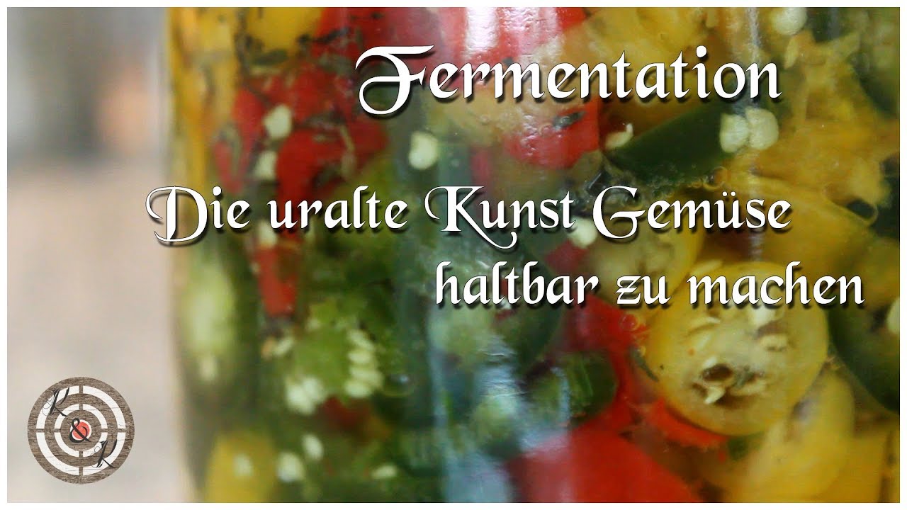 Chilis Fermentieren