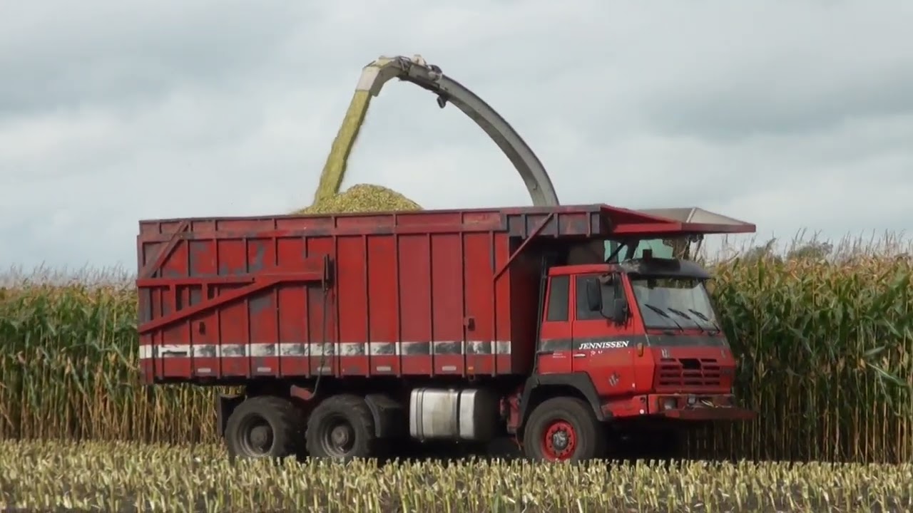 full version Boxtel Cornharvest 2021 Jennisssen Claas jaguar 950 + New 750 orbis + 2  fendt + kaweco