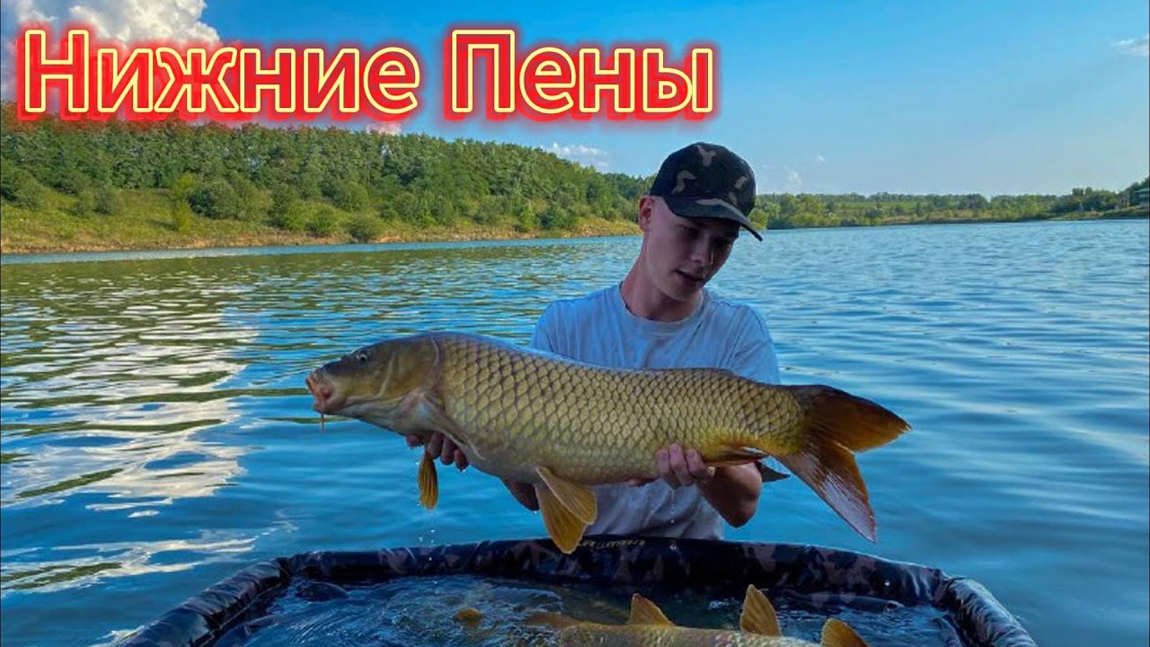 Карпфишинг. Поймали больше 100кг рыбы.