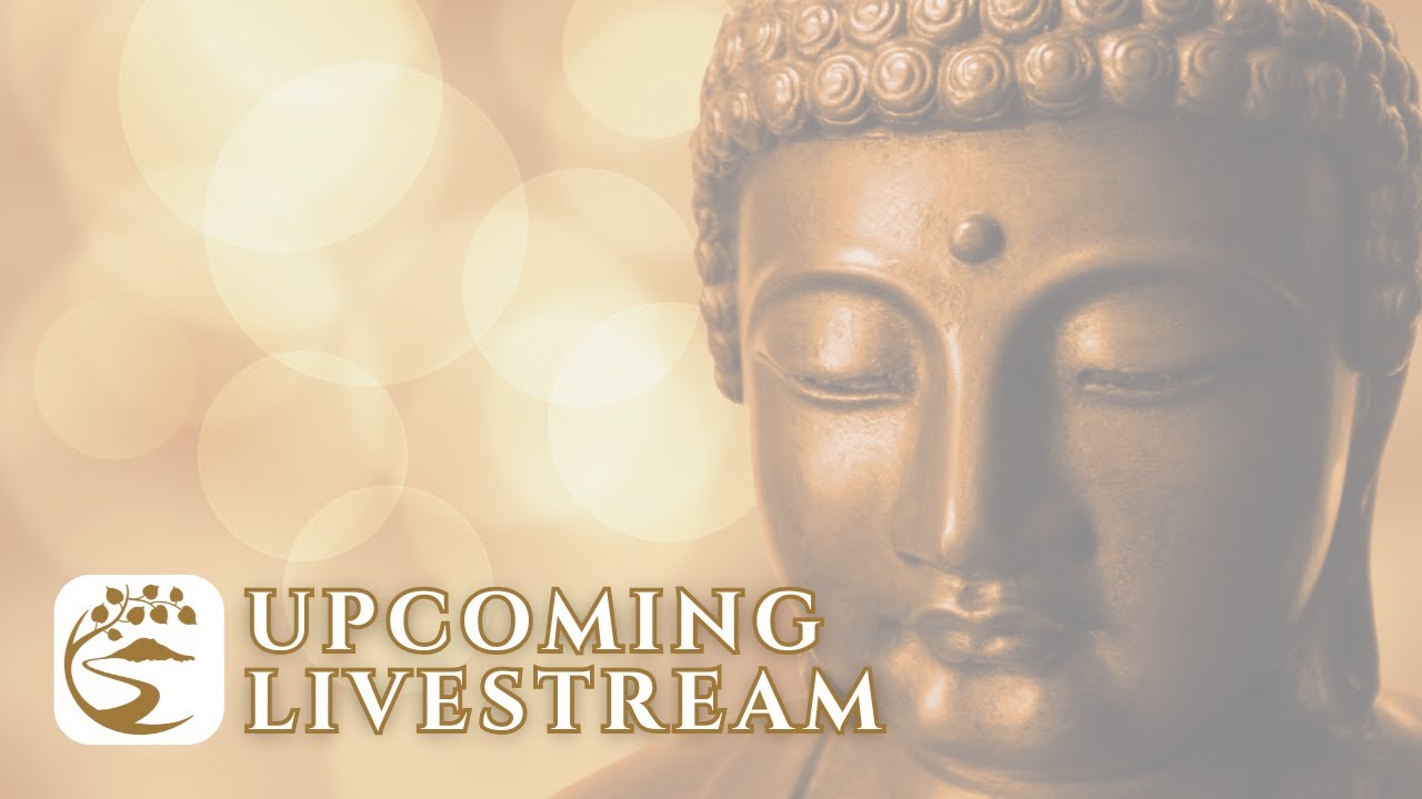 Feb 21st - Sat. Live at St. Mark’s in Seattle: Meditation, Dhamma Talk, and Q&A | Clear Mountain