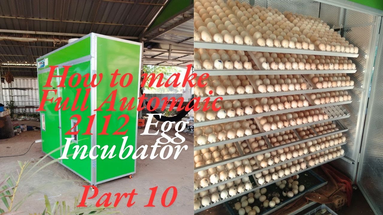 Expert Farmer Reveals Secrets to FULLY AUTOMATIC 2112 Eggs Incubator. Step 10