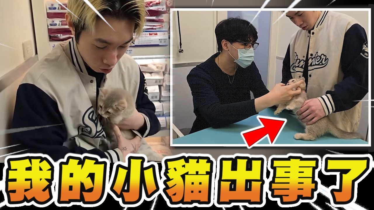 尼克星｜9萬8的小貓眼睛突然流膿.... 我半夜衝急診