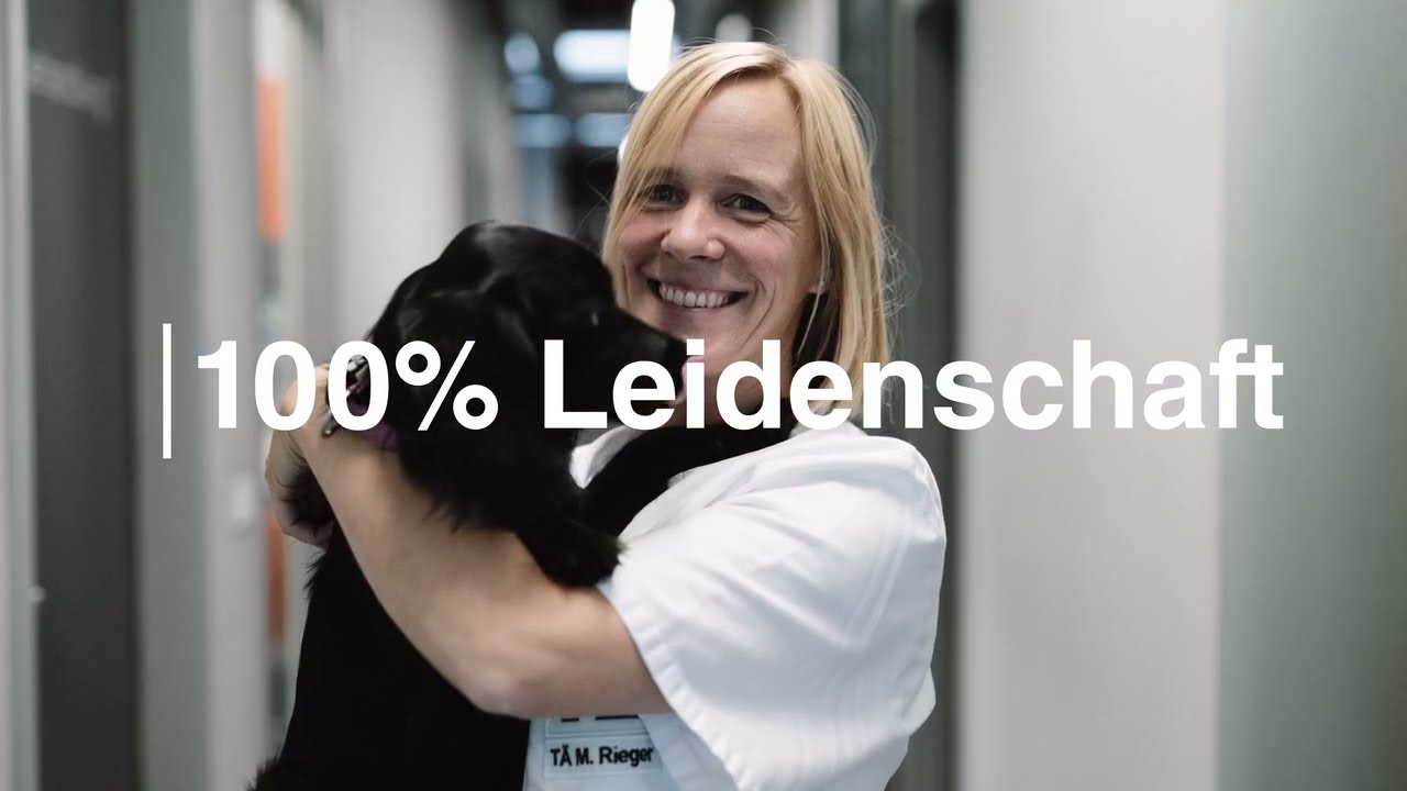 Tierklinik Elversberg...das sind wir