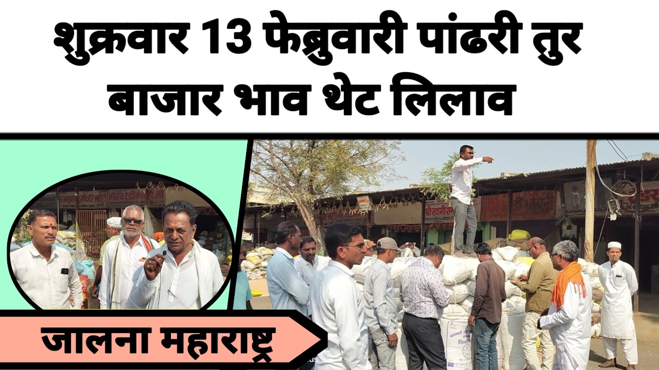 शुक्रवार13 फेब्रुवारी पांढरी तुर बाजार भाव थेट लिलाव जालना महाराष्ट्र || तुरीला काय मिळतो भाव