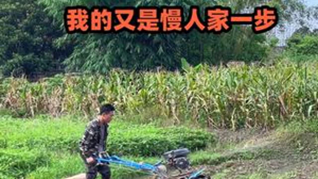 第二季的水稻要开始育苗了，今年打算种5亩，先拿微耕机把田打了 #农村 #秧地 #微耕机 #打田 #我的乡村生活