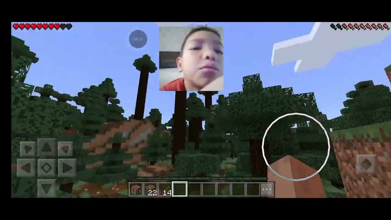 Мудрый Бобо играет Майнкрафт и пытается найти алмаз