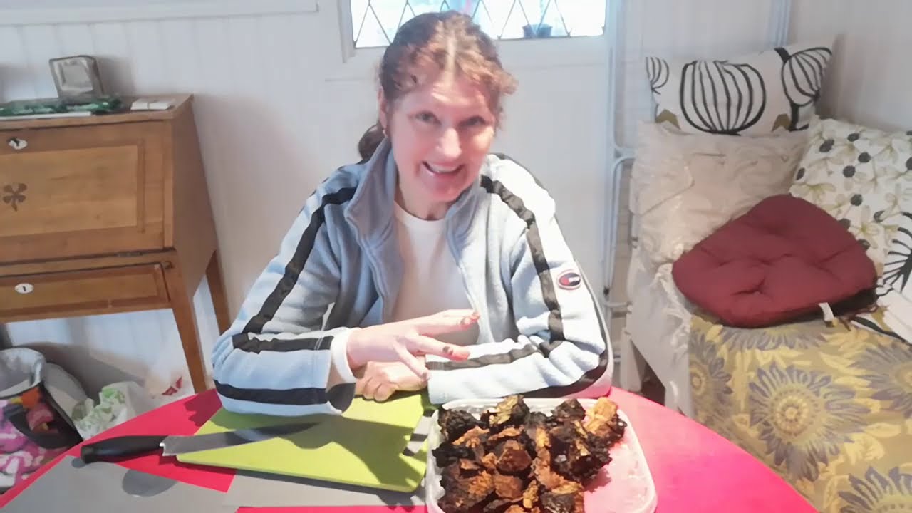 Skörda, torka och gör chagaté av sprängticka