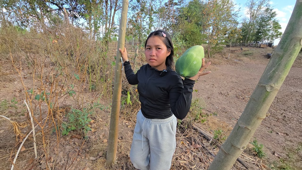 น้องน้อยพาเดินดูสวน นานแล้วไม่ได้ดูเติบโตขึ้นมาก ได้กินมะแตงครั้งแรก17 กุมภาพันธ์ ค.ศ. 2026