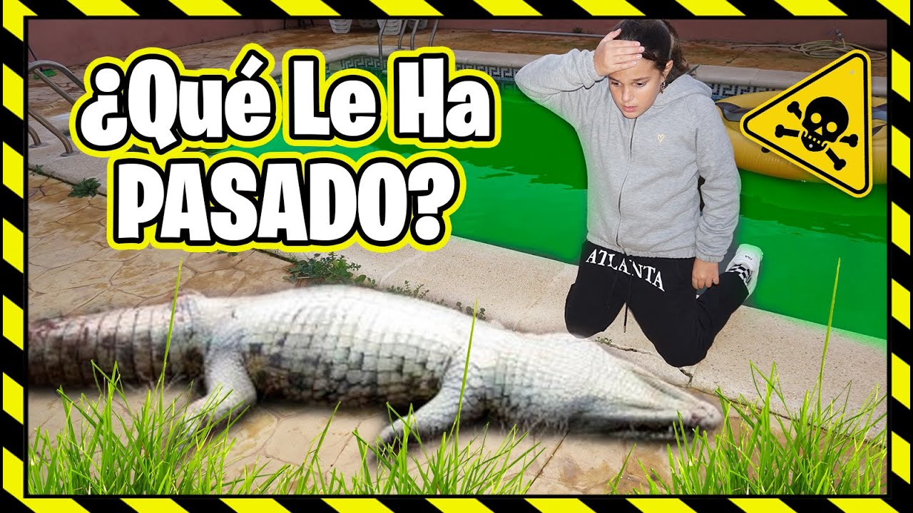 **HA MUERTO** ⚠️ TRISTE NOTICIA El COCODRILO GIGATE De La PISCINA TOXICA Ha MUERTO