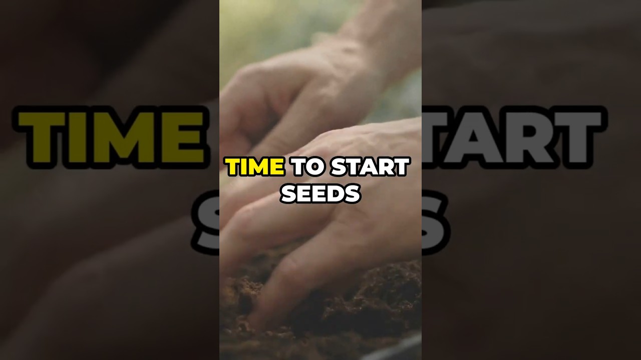 Seed Starting in Zone 8b! (Pacific Northwest) #garden #gardening #gardeningtips #seeds #diy #trend