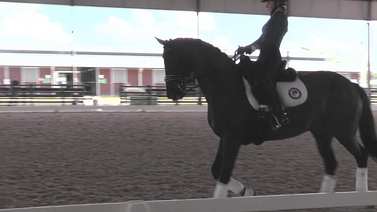 How to Activate the Hind End of Your Dressage Horse