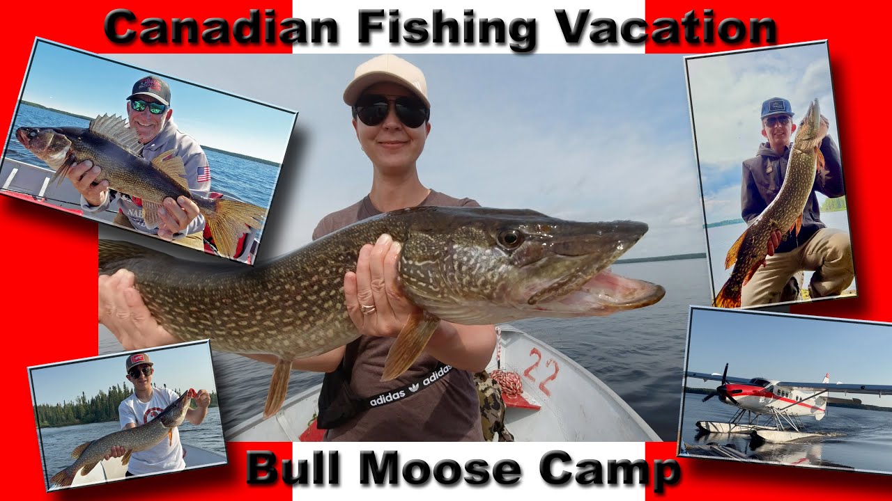 Ловля судака и щуки в Онтарио, Канада, в лагере Bull Moose Camp
