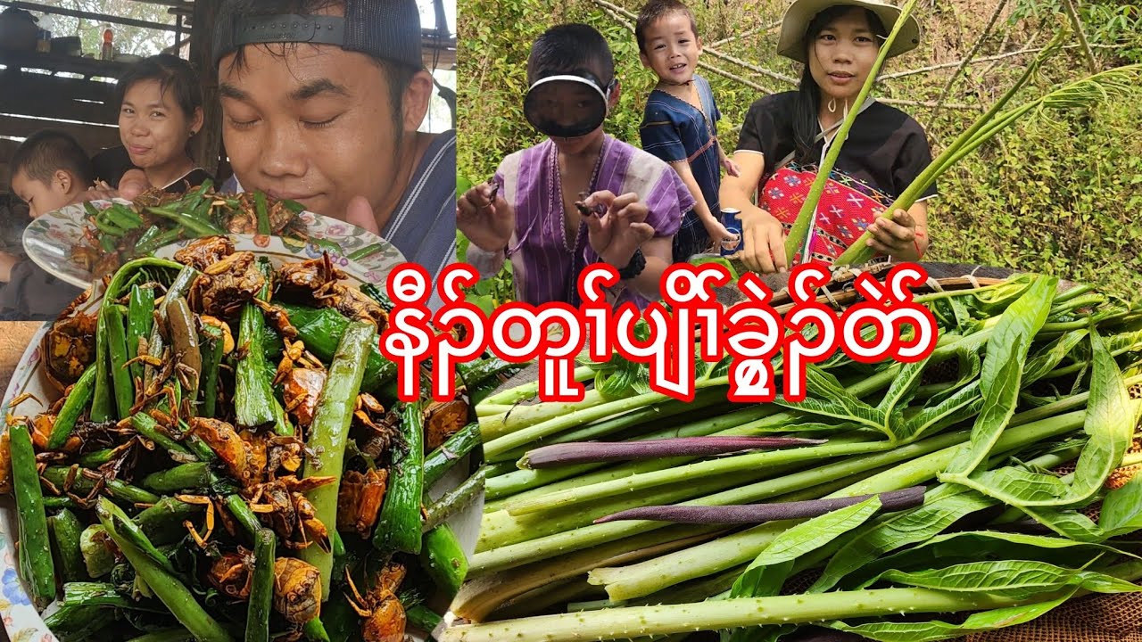 နီၣ်တူၢ်ပျိၢ်ခွၠဲၣ်ဝဲၤဝံၣ်မး