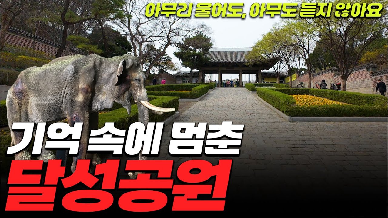 그날 찍은 사진 속 우리는 웃고 있었는데… 지금 달성공원은 울고 있다
